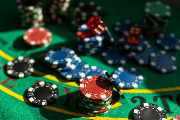 anjing togel Sportsbook